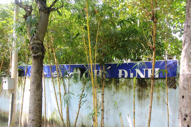 Cận cảnh trường tiểu học 20 tỷ đồng bị bỏ hoang, cây cối mọc um tùm giữa Sài Gòn - Ảnh 3.