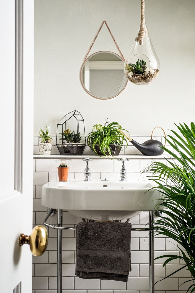 “Nhà tắm thực vật” – cách đơn giản để nhà tắm thêm mát mẻ trong ngày hè nắng nóng - Ảnh 6.