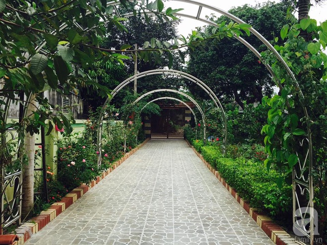 Khu vườn rộng gần nghìn m² đầy hoa và rau xanh của cô giáo dạy toán - Ảnh 4.