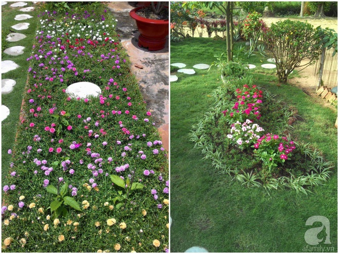 Chàng trai 9x biến mảnh đất trống thành khu vườn toàn hoa rực rỡ chỉ sau 2 tháng thi công - Ảnh 20.