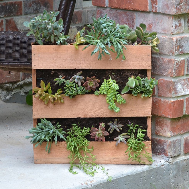 Simple ways to create a beautiful garden from pallet wood - Photo 5.