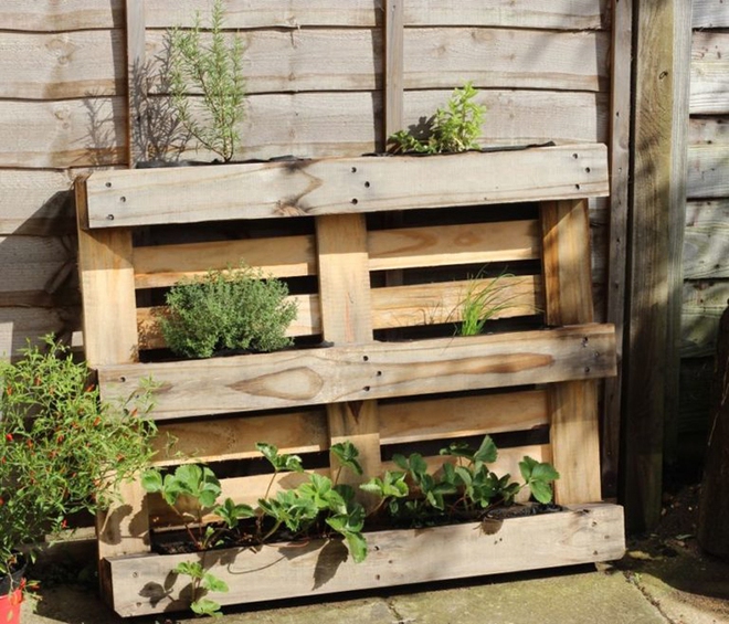 Simple ways to create a beautiful garden from pallet wood - Photo 7.