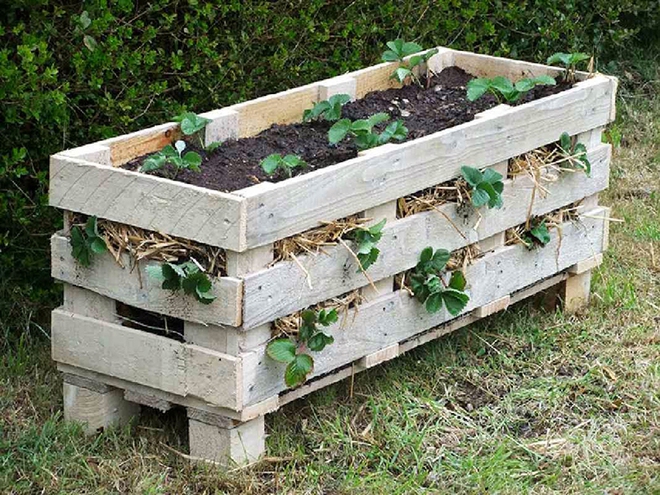 Simple ways to create a beautiful garden from pallet wood - Photo 12.