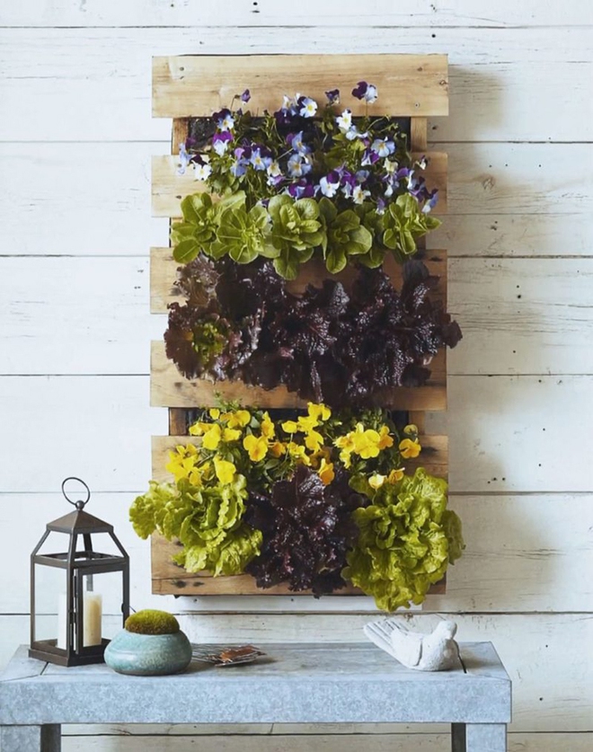 Simple ways to create a beautiful garden from pallet wood - Photo 13.