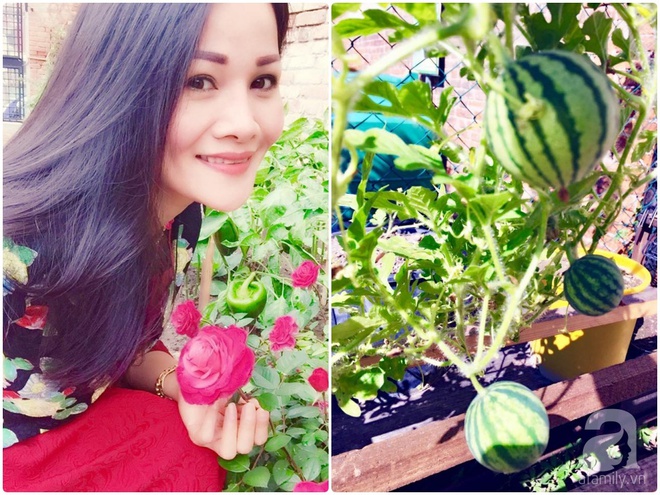 Khu vườn bạt ngàn hoa và rau quả sạch của bà chủ cửa hàng pha lê người Việt trên đất Ý - Ảnh 2.