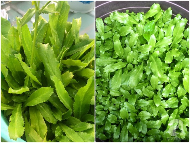 Hàng ngày tiếp xúc với bệnh nhân ung thư, nữ dược sĩ quyết trồng 100 chậu rau sạch xanh trên sân thượng cho gia đình - Ảnh 27. Hàng ngày tiếp xúc với bệnh nhân ung thư, nữ dược sĩ quyết trồng 100 chậu rau sạch xanh trên sân thượng cho gia đình - Ảnh 27.