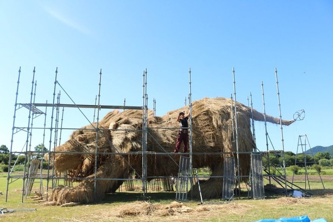 Chỉ với những cọng rơm khô, người Nhật tạo nên nhiều thứ khiến ai cũng thán phục - Ảnh 7.