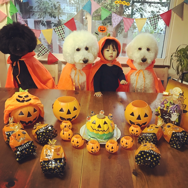 Loạt ảnh hóa trang Halloween hoành tráng nhất mạng xã hội của bé gái Nhật và những người bạn thú cưng - Ảnh 3.
