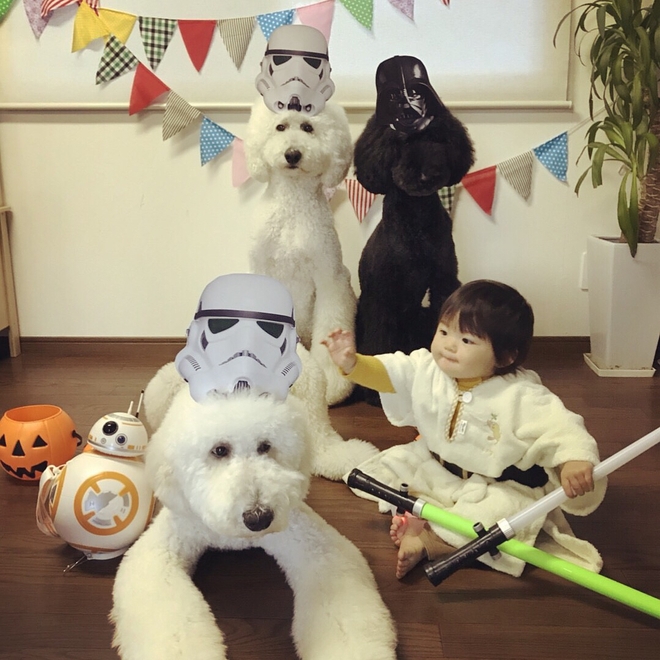 Loạt ảnh hóa trang Halloween hoành tráng nhất mạng xã hội của bé gái Nhật và những người bạn thú cưng - Ảnh 4.