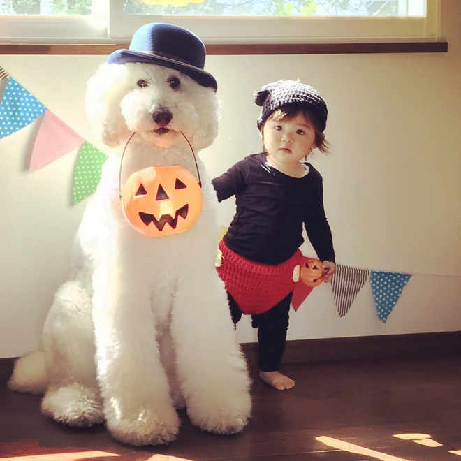 Loạt ảnh hóa trang Halloween hoành tráng nhất mạng xã hội của bé gái Nhật và những người bạn thú cưng - Ảnh 6.
