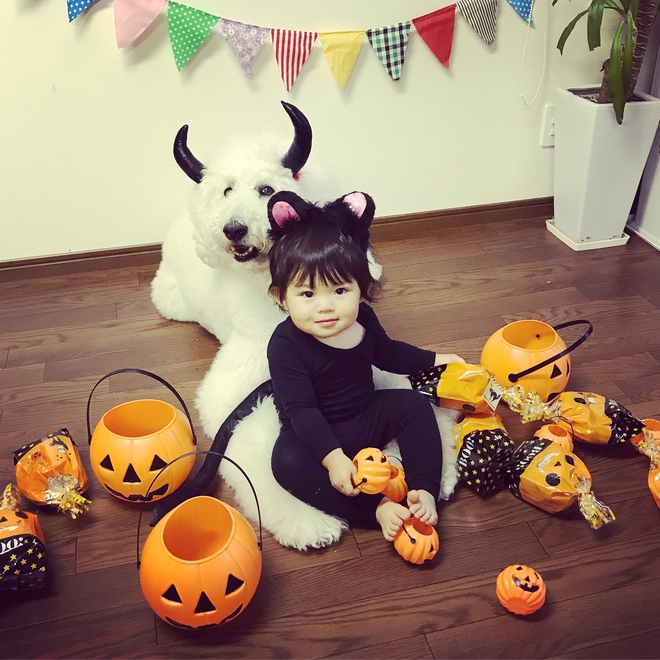 Loạt ảnh hóa trang Halloween hoành tráng nhất mạng xã hội của bé gái Nhật và những người bạn thú cưng - Ảnh 7.