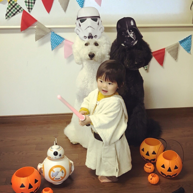 Loạt ảnh hóa trang Halloween hoành tráng nhất mạng xã hội của bé gái Nhật và những người bạn thú cưng - Ảnh 20.