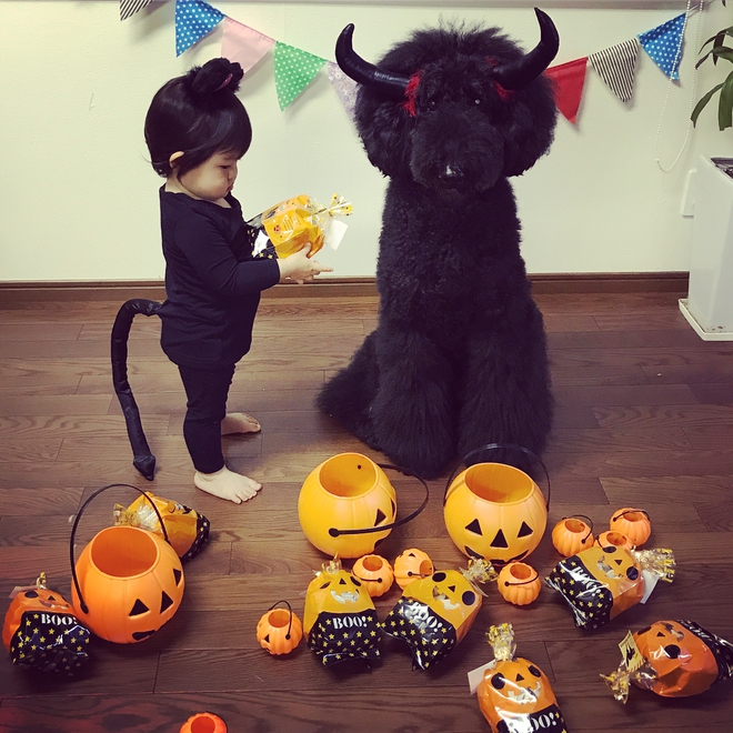 Loạt ảnh hóa trang Halloween hoành tráng nhất mạng xã hội của bé gái Nhật và những người bạn thú cưng - Ảnh 22.