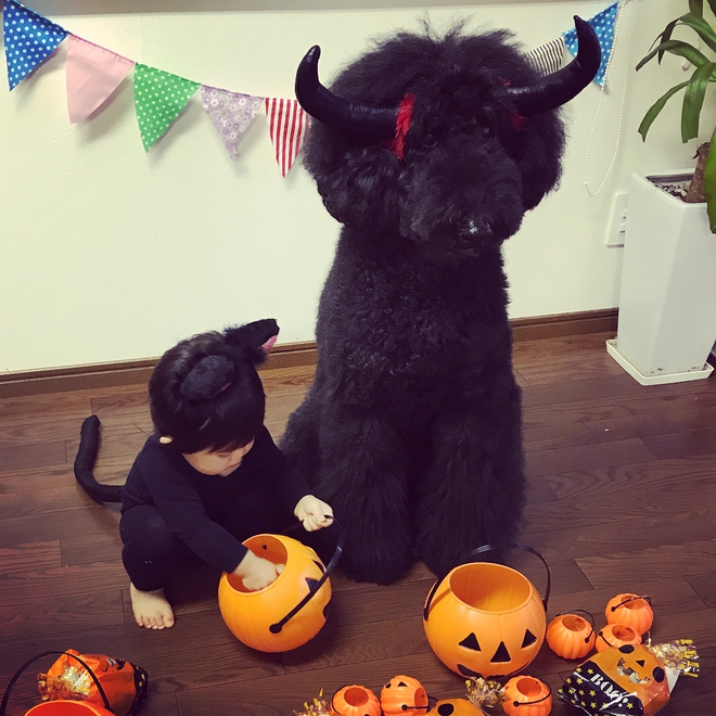 Loạt ảnh hóa trang Halloween hoành tráng nhất mạng xã hội của bé gái Nhật và những người bạn thú cưng - Ảnh 23.