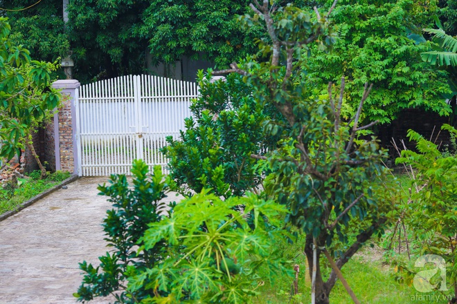 Ngôi nhà vườn xanh mát bóng cây của nữ giảng viên đại học chỉ cách Hà Nội 30 phút chạy xe - Ảnh 2.