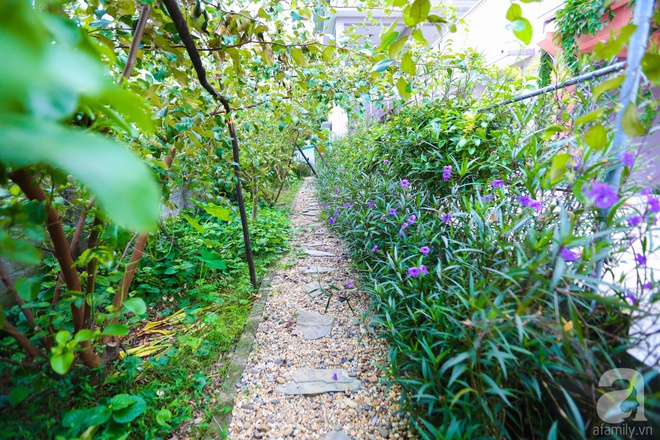 Ngôi nhà vườn xanh mát bóng cây của nữ giảng viên đại học chỉ cách Hà Nội 30 phút chạy xe - Ảnh 24.