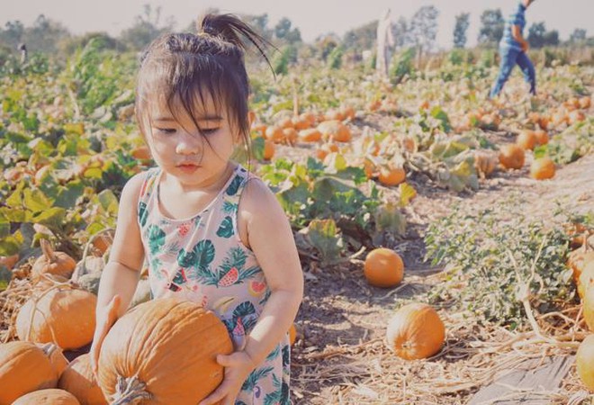Con gái Kim Hiền càng lớn càng đáng yêu khi theo mẹ đi chơi Halloween - Ảnh 5.