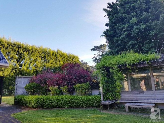 Choáng ngợp trước ngôi nhà vườn xanh mát bóng cây, rộng 7600m² của cô dâu Việt tại New Zealand - Ảnh 15.