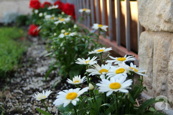 Nữ du học sinh Việt tại Mỹ tiết lộ bí quyết tạo khu vườn mini 6m² nhưng đủ rau và hoa đẹp hút hồn - Ảnh 20.
