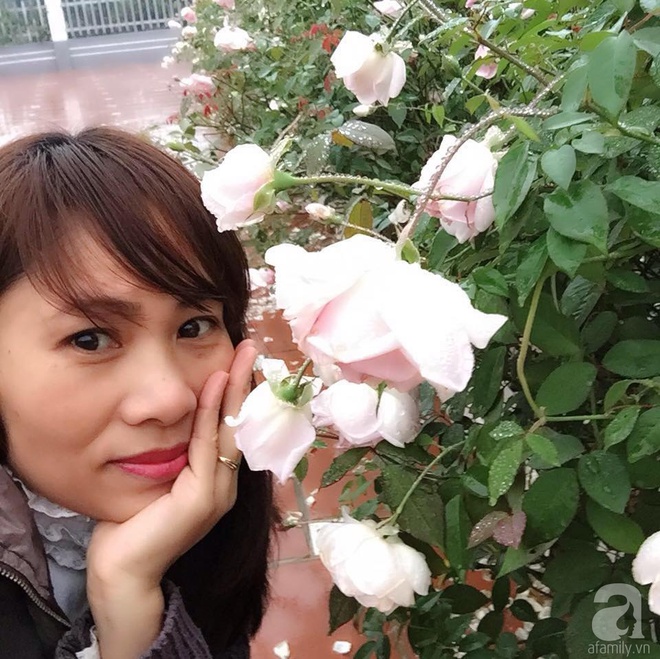 Ngất ngây trước ngôi nhà vườn trồng hàng nghìn gốc hồng nở hoa rực rỡ ở Ba Vì, Hà Nội - Ảnh 4.