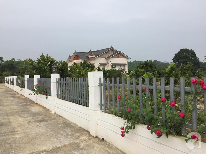 Ngất ngây trước ngôi nhà vườn trồng hàng nghìn gốc hồng nở hoa rực rỡ ở Ba Vì, Hà Nội - Ảnh 8.