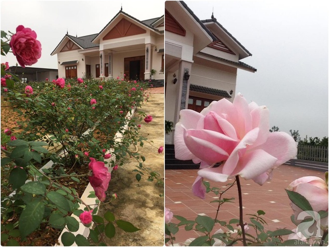 Ngất ngây trước ngôi nhà vườn trồng hàng nghìn gốc hồng nở hoa rực rỡ ở Ba Vì, Hà Nội - Ảnh 20.