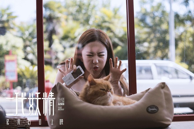 Lưu Diệc Phi gây thích thú khi làm vẻ mặt đáng yêu bên chú mèo đỏng đảnh - Ảnh 2. Lưu Diệc Phi gây thích thú khi làm vẻ mặt đáng yêu bên chú mèo đỏng đảnh - Ảnh 2.