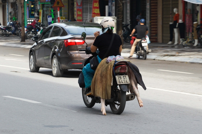 Kinh hoàng xác chết di động đại náo phố phường Thủ đô - Ảnh 11.