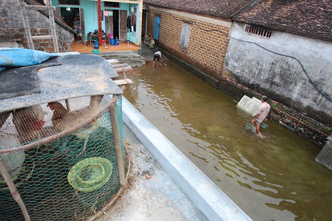 Hà Nội: 10 ngày sau lũ, người dân Tân Tiến rắc vôi bột trắng đường phòng bệnh dịch - Ảnh 1.