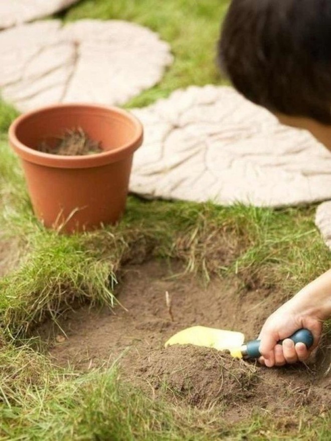Cậu bé đem xi măng đổ lên lá cây, không ai ngờ đó lại là tuyệt tác người lớn cũng phải tấm tắc khen - Ảnh 7. Cậu bé đem xi măng đổ lên lá cây, không ai ngờ đó lại là tuyệt tác người lớn cũng phải tấm tắc khen - Ảnh 7.