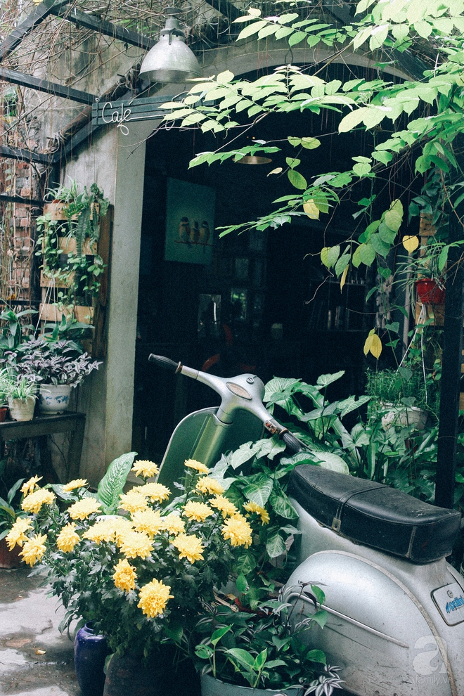 5 quán cafe trong ngõ để tìm tĩnh lặng và yên bình cho những ngày cuối hạ - Ảnh 28. 5 quán cafe trong ngõ để tìm tĩnh lặng và yên bình cho những ngày cuối hạ - Ảnh 28.