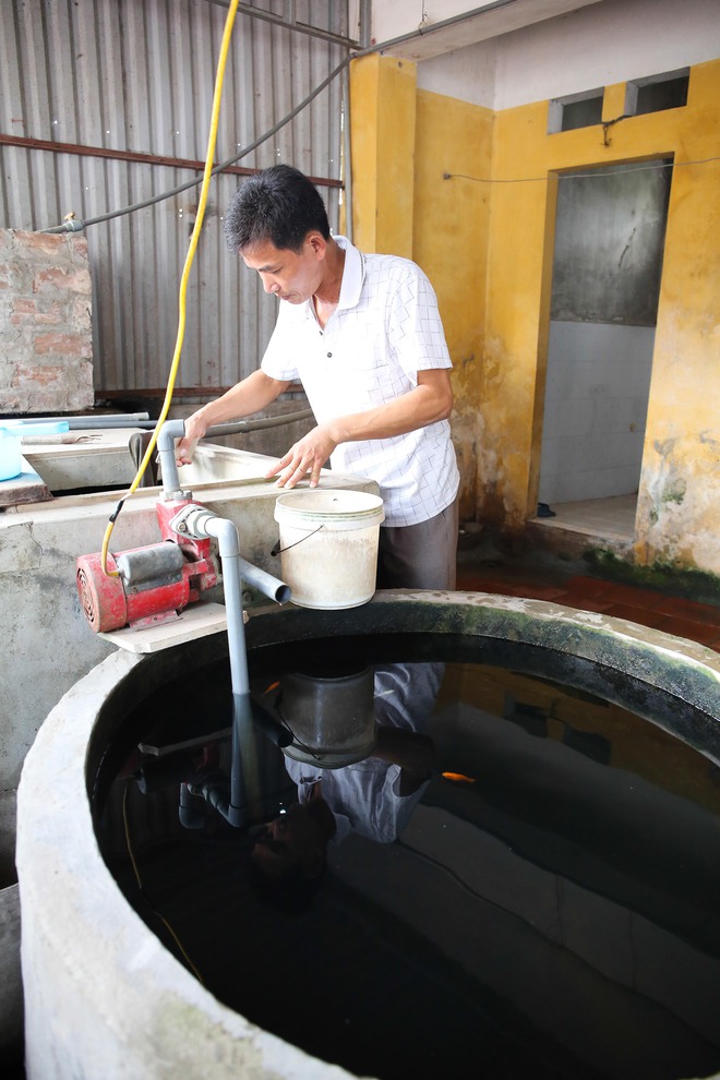 Người dân sống giữa lòng Hà Nội thấp thỏm không yên vì cả làng bị sốt xuất huyết - Ảnh 2.