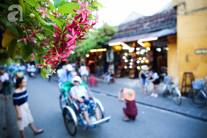 Hội An - cổ thị nên thơ và xinh đẹp ai cũng nên đến ít nhất một lần trong đời - Ảnh 13.