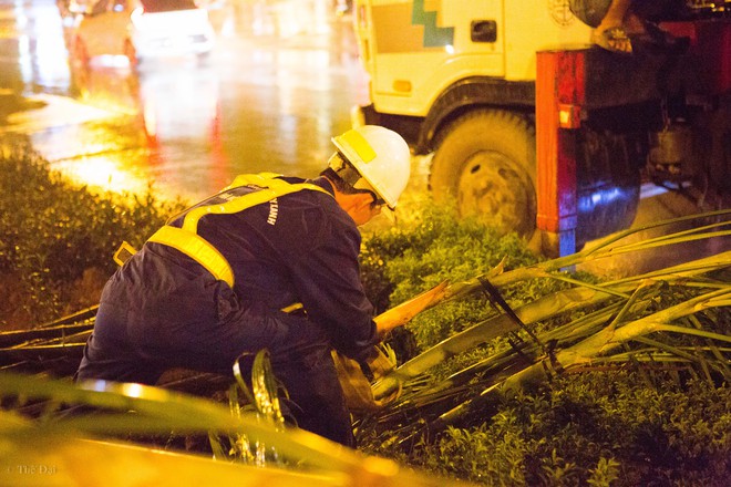 Hà Nội: Bất chấp đêm tối, trời mưa, hàng chục công nhân vẫn miệt mài trồng cau cảnh dưới đường tàu trên cao - Ảnh 11.