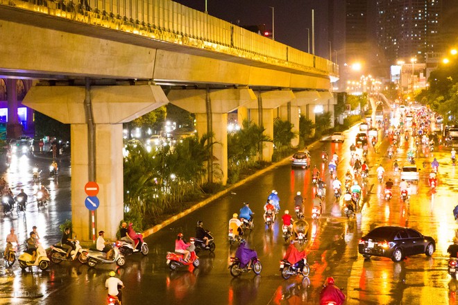 Hà Nội: Bất chấp đêm tối, trời mưa, hàng chục công nhân vẫn miệt mài trồng cau cảnh dưới đường tàu trên cao - Ảnh 2.