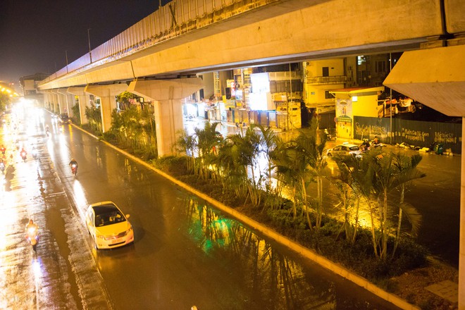Hà Nội: Bất chấp đêm tối, trời mưa, hàng chục công nhân vẫn miệt mài trồng cau cảnh dưới đường tàu trên cao - Ảnh 1.