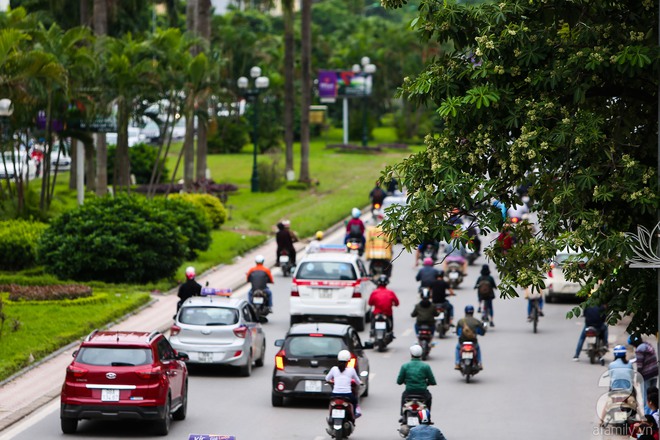 Hà Nội có một mùa hoa giá 0 đồng mà cả phố vương vấn mùi hương - Ảnh 15.