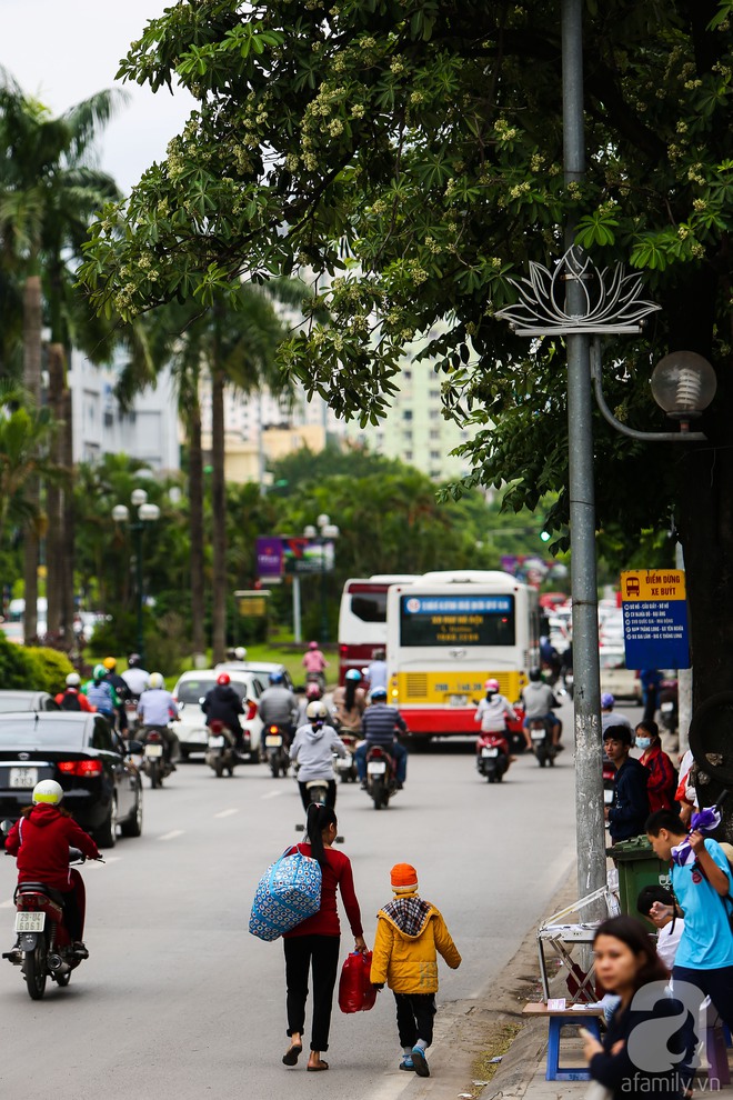 Hà Nội có một mùa hoa giá 0 đồng mà cả phố vương vấn mùi hương - Ảnh 4.