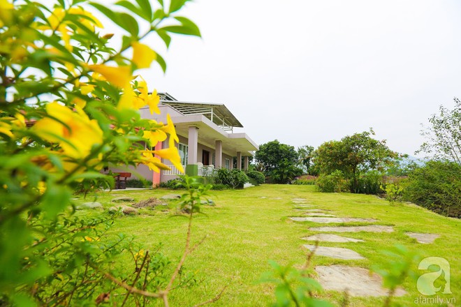 Ngôi nhà vườn xanh mát bóng cây của nữ giảng viên đại học chỉ cách Hà Nội 30 phút chạy xe - Ảnh 4.