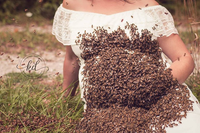 Bí mật bất ngờ phía sau bức hình mẹ bầu chụp hình cùng hàng ngàn con ong - Ảnh 6.