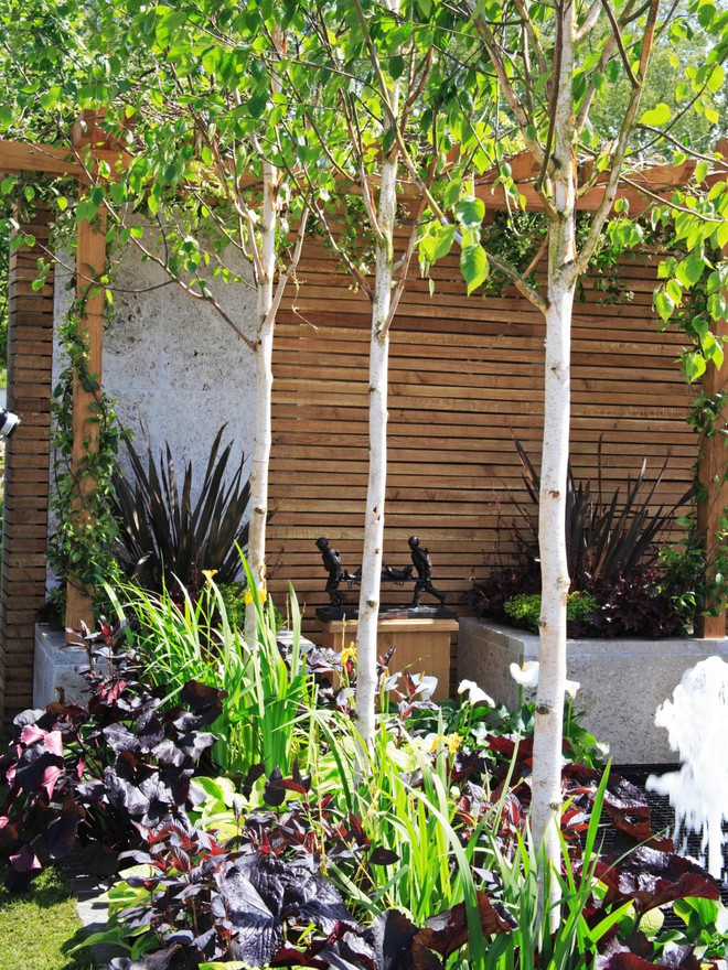 10 mẫu hàng rào vừa đẹp vừa tiết kiệm chi phí cho khu vườn nhà bạn thêm xinh - Ảnh 1.
