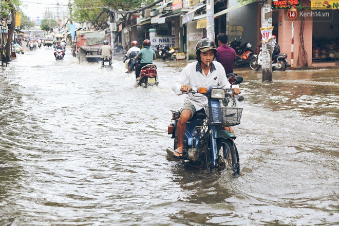 Cảnh tượng bi hài của người Sài Gòn sau những ngày mưa ngập: Sáng quăng lưới, tối thả cần câu bắt cá giữa đường - Ảnh 1.