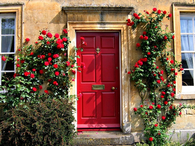 Muôn kiểu cửa nhà có hoa khiến ai ai đi qua cũng phải ngoái nhìn - Ảnh 1.