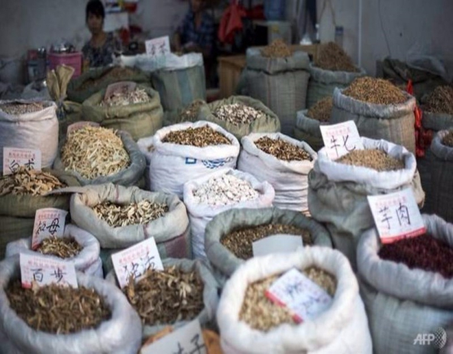 Ph&aacute;t hiện thuốc Bắc c&oacute; li&ecirc;n quan đến ung thư gan - Ảnh 1.