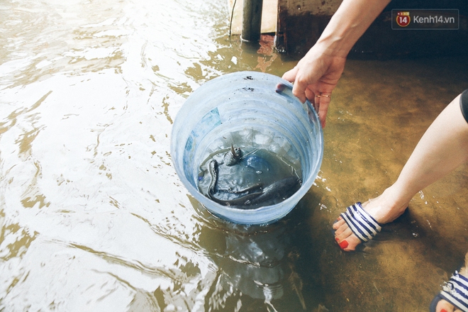 Cảnh tượng bi hài của người Sài Gòn sau những ngày mưa ngập: Sáng quăng lưới, tối thả cần câu bắt cá giữa đường - Ảnh 11.