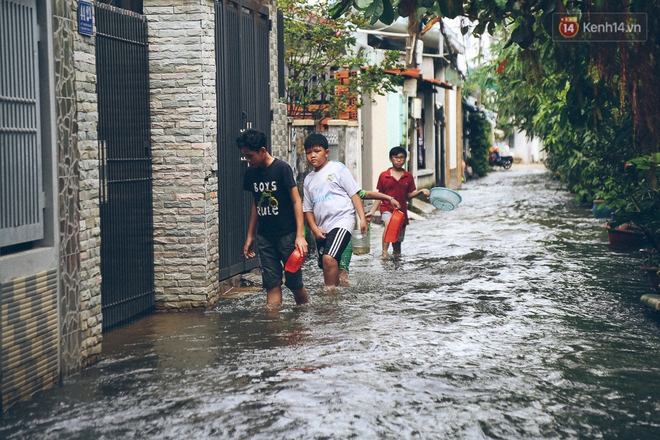 Cảnh tượng bi hài của người Sài Gòn sau những ngày mưa ngập: Sáng quăng lưới, tối thả cần câu bắt cá giữa đường - Ảnh 13.