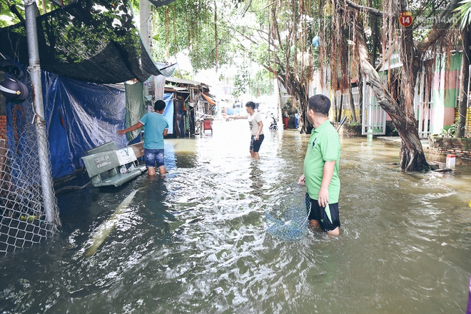 Cảnh tượng bi hài của người Sài Gòn sau những ngày mưa ngập: Sáng quăng lưới, tối thả cần câu bắt cá giữa đường - Ảnh 17.