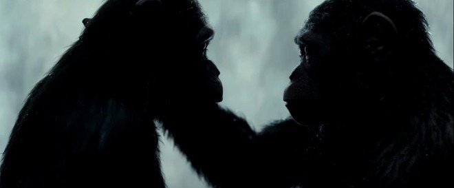 Trailer cuối tiết lộ thảm kịch đầy đau đớn của Đại chiến hành tinh khỉ - Ảnh 4.