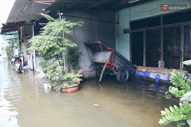 Cảnh tượng bi hài của người Sài Gòn sau những ngày mưa ngập: Sáng quăng lưới, tối thả cần câu bắt cá giữa đường - Ảnh 22.