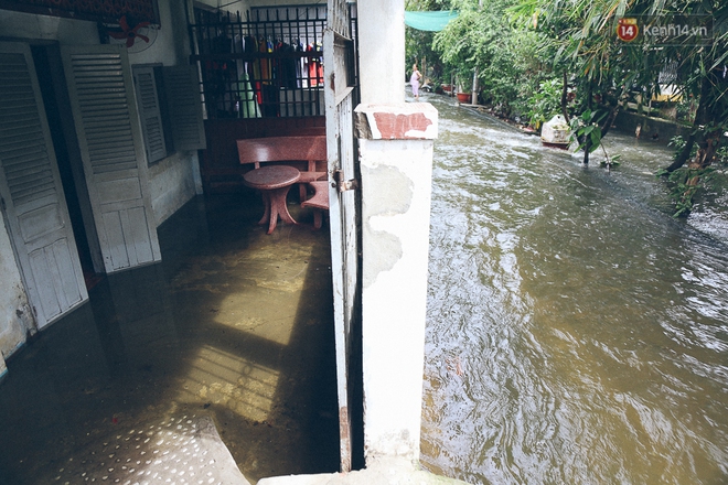 Cảnh tượng bi hài của người Sài Gòn sau những ngày mưa ngập: Sáng quăng lưới, tối thả cần câu bắt cá giữa đường - Ảnh 24.